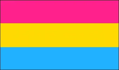 Que veut dire "pan" dans pansexuel ?