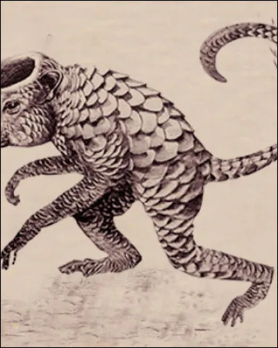 Combien de « X » est classé le Kappa ?