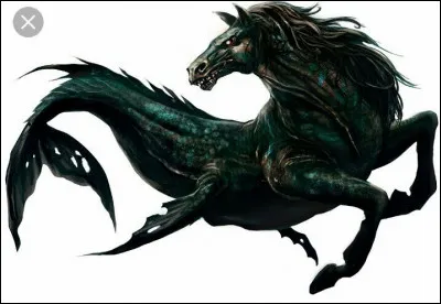 Combien de « X » est classé le Kelpy ?