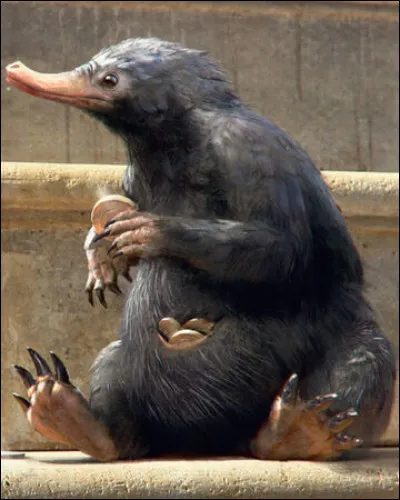 Combien de « X » est classé le Niffleur ?