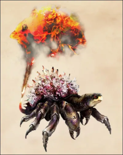 Combien de « X » est classé le Crabe de Feu ?