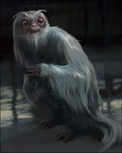 Combien de « X » est classé le Demiguise ?