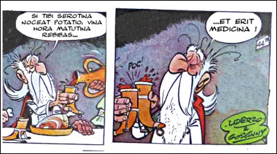 Panoramix nous propose, aux grands maux, les grands remèdes : quel est celui-ci ?