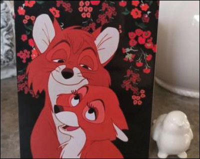 Dans le dessin animé "Rox et Rouky", qui est le renard ?