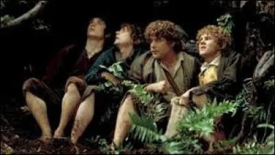 Si tu avais trouvé l'Anneau, qu'aurais-tu fais ?