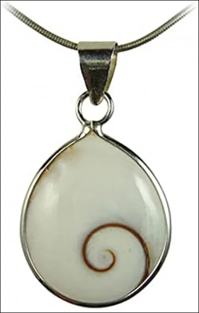 Voici ce qu'elle porte autour de son cou ! C'est encore un indice !