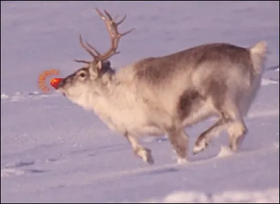 Je t'e... Thérèse, je te prends, je te retourne contre le mur !