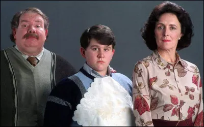 Quel est le nom de famille de l'oncle, la tante et le cousin d' Harry ?