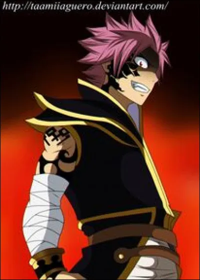 Quel chasseur de dragons est Natsu ?
