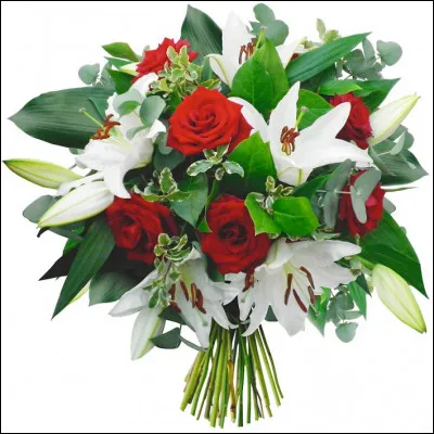 Ml arrive avec un superbe bouquet de fleurs pour honorer la dame dont c'est l'anniversaire ! Que sont ces fleurs ?