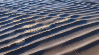 Lors des grandes marées, il arrive qu'une vague se crée qui remonte le cours du fleuve. Comment s'appelle-t-elle ?