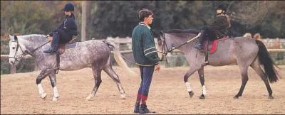 C'est un professionnel responsable de l'ensemble du travail des chevaux dans un centre questre. Il accueille et prend en charge le public. Qui est-ce ?