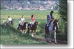 C'est une personne qualifie qui encadre des groupes de cavaliers pour des randonnes  cheval en application des rgles d'hygine et de scurit. Qui est-ce ?