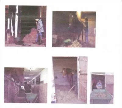 Il s'occupe des soins et de l'entretien des chevaux. Il panse et fait les soins infirmiers courants, il douche, toilette le cheval Il sort quotidiennement les chevaux au paddock. Qui est-ce ?