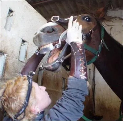 C'est un technicien spcialis dans l'entretien de la dentition quine. L'activit est reconnue mais pas le mtier. Qui est-ce ?