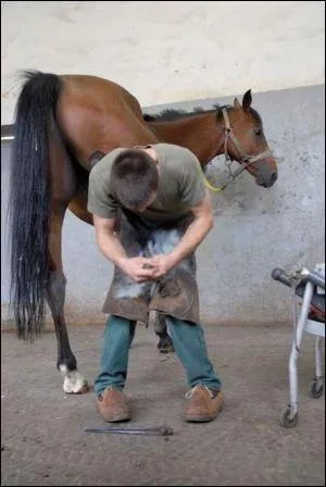 C'est un artisan qui entretient et soigne les pieds du cheval. Il taille les sabots, forge les ferres en fonction des pieds du cheval et de l'activit sportive. Qui est-ce ?