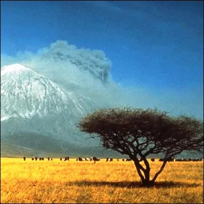 Quel herbivore africain a pour femelle la maroufle et pour petit le gaou ?