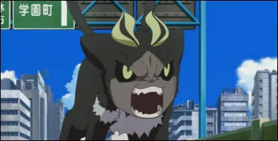 Qu'avait prévu le père Fujimoto pour Kuro si jamais il lui arrivait de mourir ?