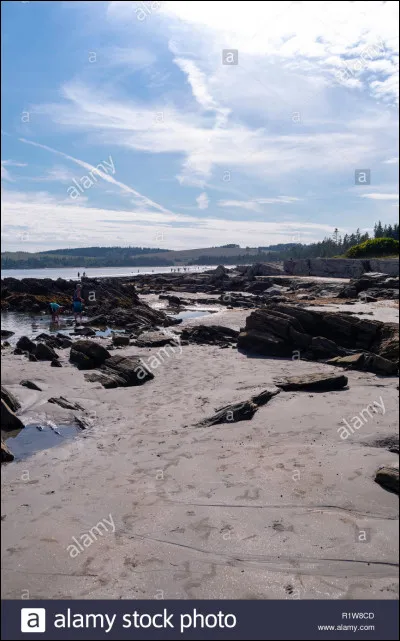 Plus de 5000 personnes se noient dans une rivière, qui vas-tu sauver ?