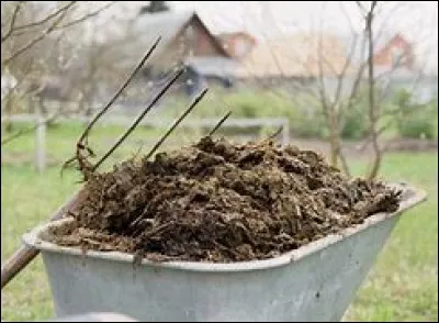 Quels sont les ingrédients du méthaniseur ?