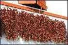 O sche-t-on les cordes rutilantes des piments ?