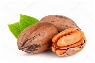 Quel est le nom de cette variété de noix, fruit à coque avec une amande oléagineuse ?