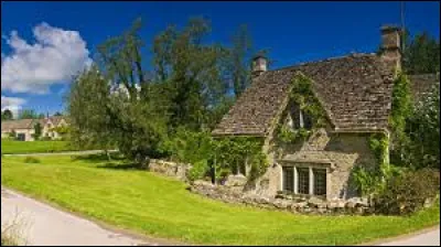 Quel environnement souhaitez-vous pour votre chien ?