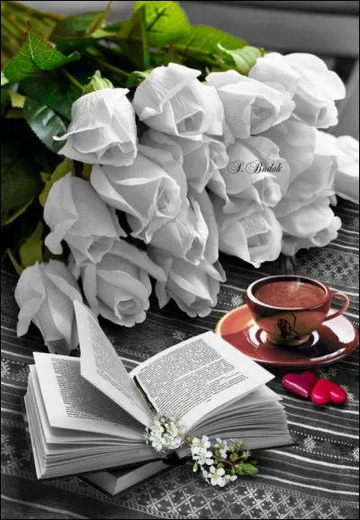 Après avoir créé bientôt 6 000 quiz, je ne peux plus vous demander qui a écrit "La Peau de Chagrin", l'innovation devient dure pour moi (et pour vous) : qui était le personnage principal de ce livre ?