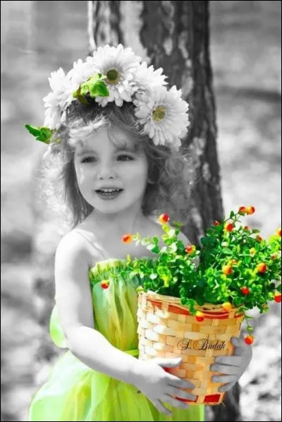 Si avec mes questions tordues, difficiles, sans indice, je prends plaisir à vous mettre les nerfs à fleur de peau :