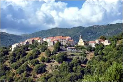 Petit village 26 habitants, dans l'arrondissement de Corte, Focicchia se situe ...
