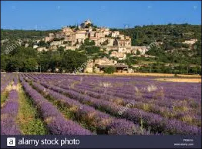 Derri&egrave;re les champs de lavande, vous avez Simiane-la-Rotonde. Commune Bas-Alpine, elle se situe en r&eacute;gion ...