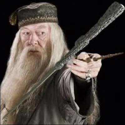 Que penses-tu de Dumbledore ?