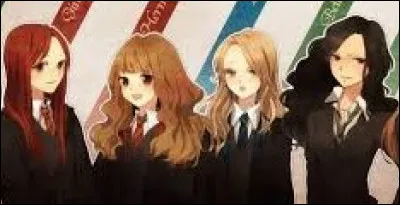 Quel personnage de ce test veux-tu être ?