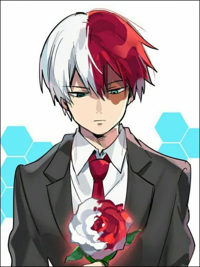 De quel manga provient ce personnage ?