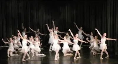 Quelle femme a chanté "Je danse" ?