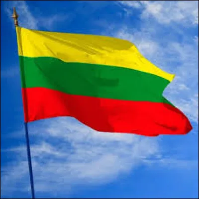 Lequel de ces pays ne possède pas un drapeau vert, jaune et rouge ?