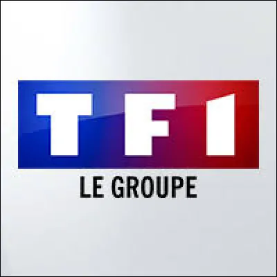 Laquelle de ces chaînes de télévision ne fait pas partie du groupe TF1 ?