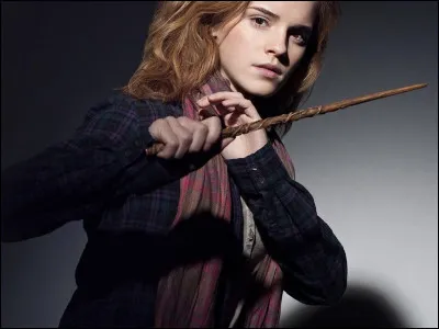 Qui est en couple avec Hermione ?