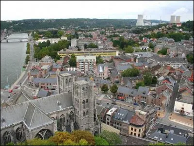 Ville belge de 21 000 habitants, située sur la Meuse, en Région wallonne :