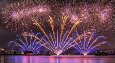 Quant à elle, elle a quitté le site depuis longtemps. Son avatar était un animal de fiction des Looney Tunes, qui poursuit toujours deux grands géocoucous :