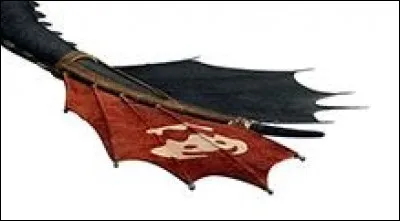 Comment s'appelle le tissu rouge à la queue de Krokmou qui l'aide à voler ?