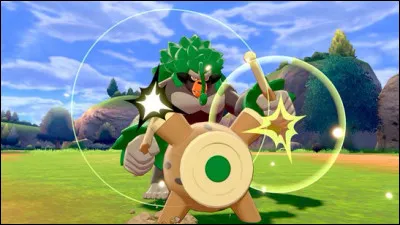 Quel est ce Pokémon ?