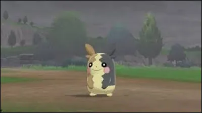 Quel est ce Pokémon ?
