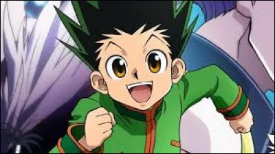 Comment s'appelle le créateur du manga "Hunter x Hunter" ?