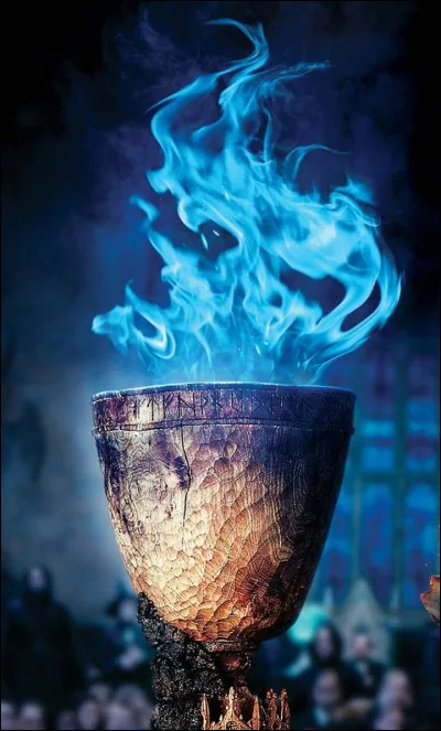 Au tournois des trois sorciers, pour qui &eacute;tais-tu supporter ?