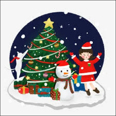 Pour toi, noël ça rime avec :