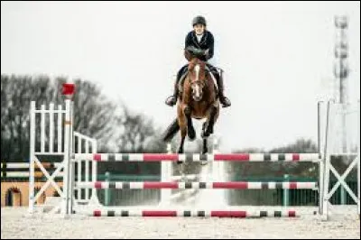 Peu importe les obstacles devant vous, il faut les franchir - Le saut d'obstacles est un sport olympique depuis :