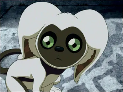 D'où vient Momo à la base ?