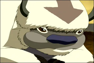 Que maîtrise Appa ?