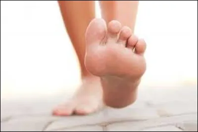 Combien d'os trouve-t-on dans un pied humain ?